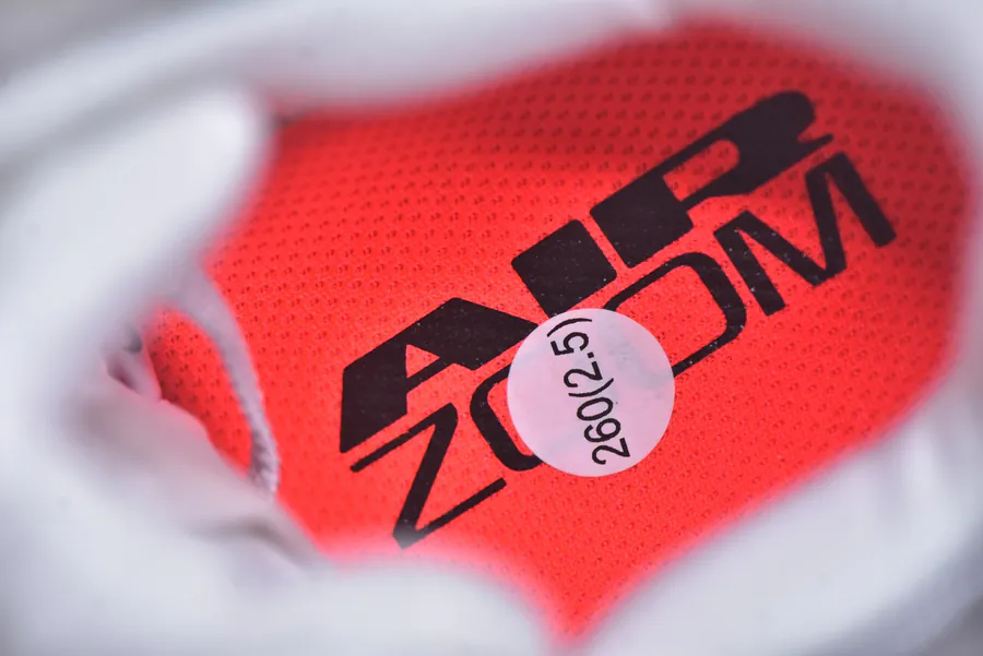 Nike Pegasus Premium Running Shoes with Air Zoom Technology