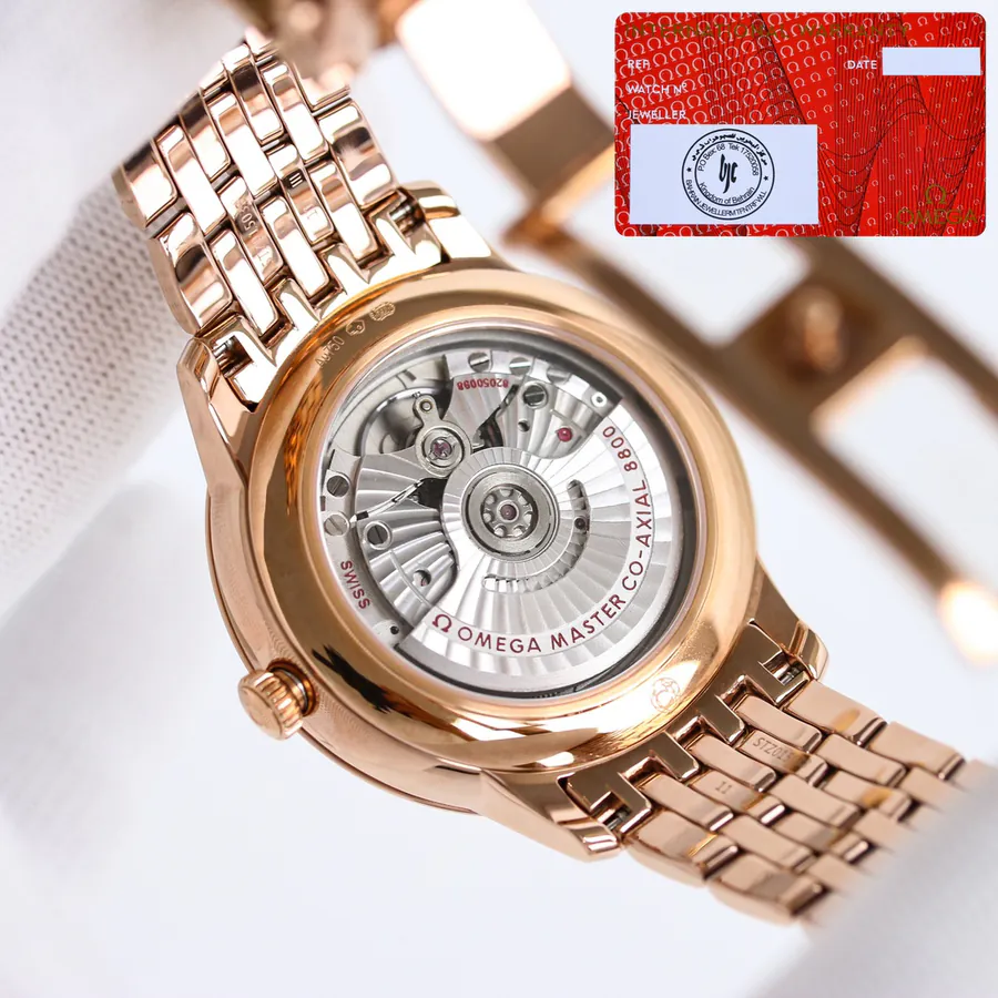 Watch visual reference image