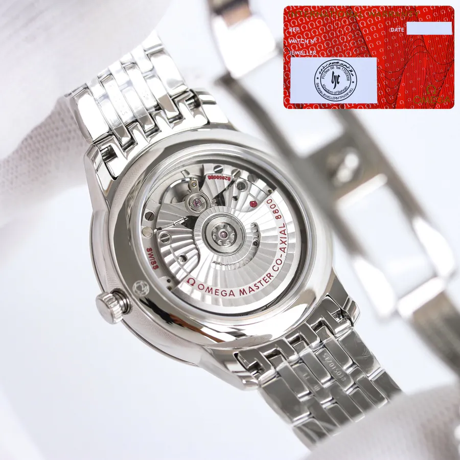Watch visual reference image